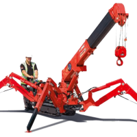 mini grúa