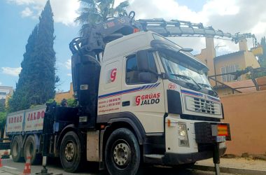 camion grua